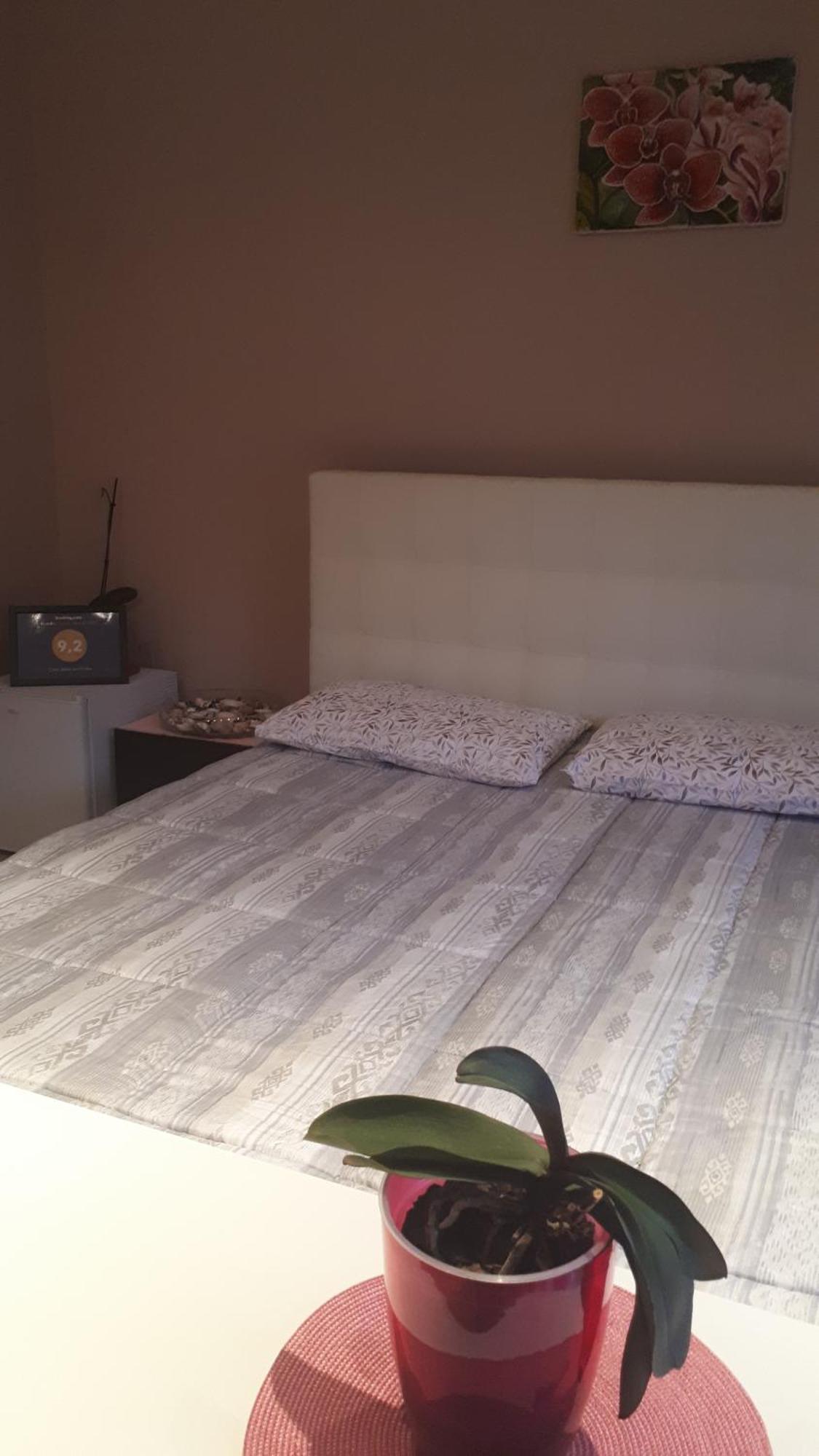 Casa Delle Orchidee Hotel Alba  Phòng bức ảnh